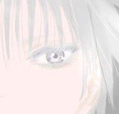 ざもく(仮)@灰色贔屓