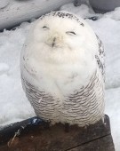 ゆうり