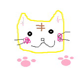 更新しません。