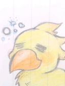 ちょこも