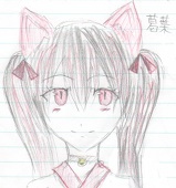 白　沙江羅