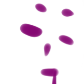 えのこ