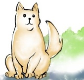 たまたん