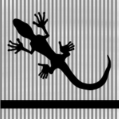 渡