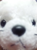 さとうあやね