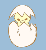 ひよこの人