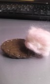 こたつ