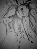 ｼﾞｪﾛｰﾑ