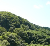 サワ