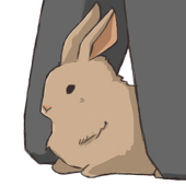 ゾルピ