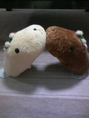ゆほ