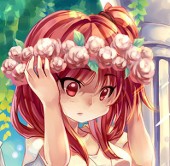 兔子猫neko(ウサギネコ)