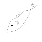 オイカワ