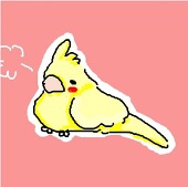 いろばず