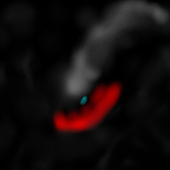 ぬもる