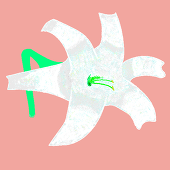 ユダ