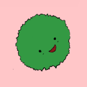 まりも