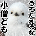 いつき