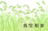 文無樹