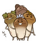 くらげ