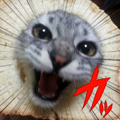 ヒロオミ