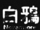 白鴉