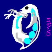 みじんこ（2日目東3ウ16a)