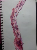 VFXNM