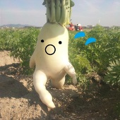 だいぽん