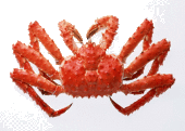 よし