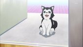 らかくしう