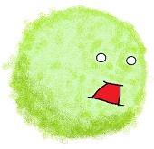 つちのこ
