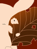くぼみ