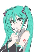夜美