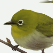 くら