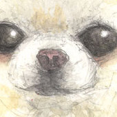 りょう
