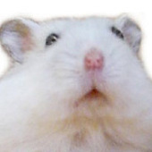 まうまう