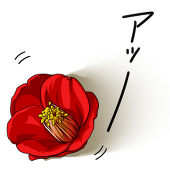 渡辺椿