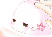 さくら