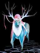 Huei