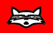 Artraccoon USA