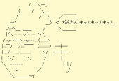 にゃこたん