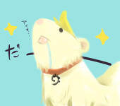しろいたち