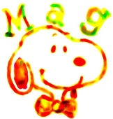 Mag