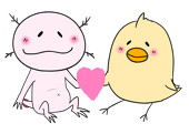 おもち