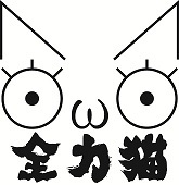 全力猫 D