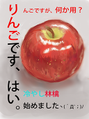 クドリョシカ