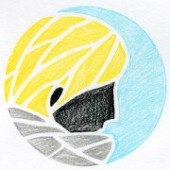 Aa