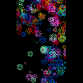 八