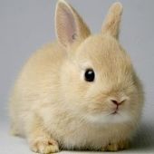 あーちゃん